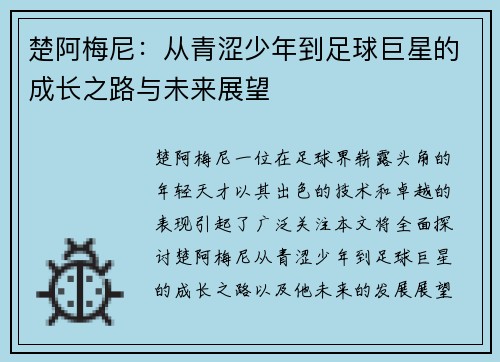 楚阿梅尼：从青涩少年到足球巨星的成长之路与未来展望