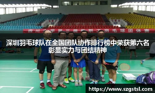 深圳羽毛球队在全国团队协作排行榜中荣获第六名彰显实力与团结精神